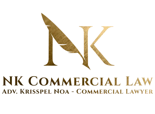 NK-Commercial-Lawyer-2 תמונת עו״ד עורך דין הייטק